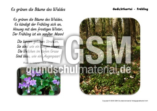 Es-grünen-die-Bäume-Kempner.pdf